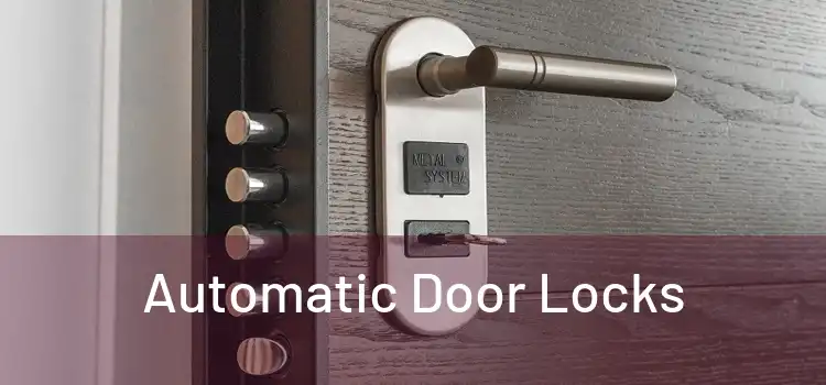 Automatic Door Locks